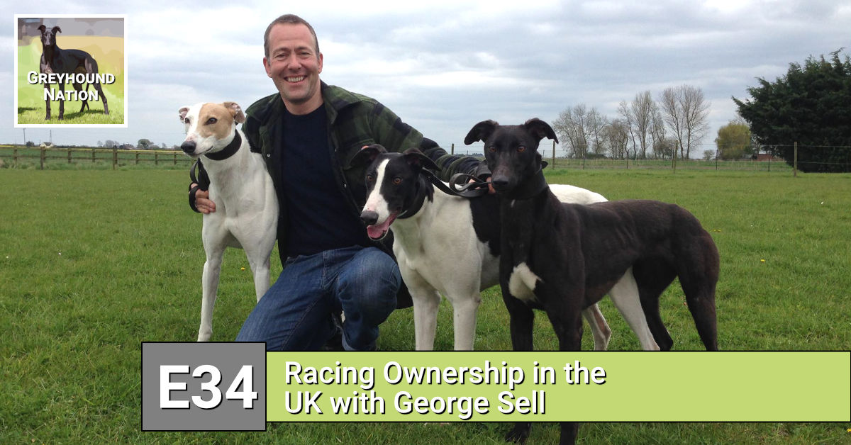 Racing Ownership in the UK with George Sell | Greyhound Nation